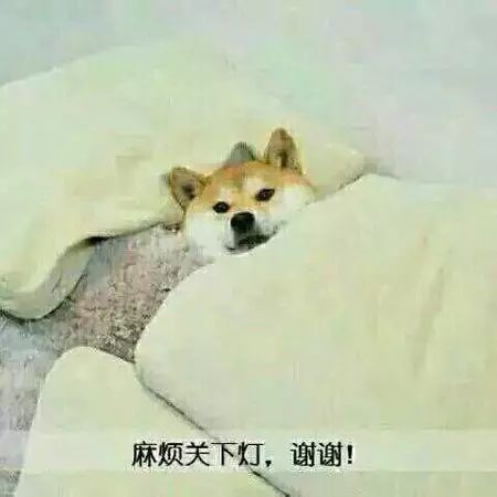 足球竞猜预测