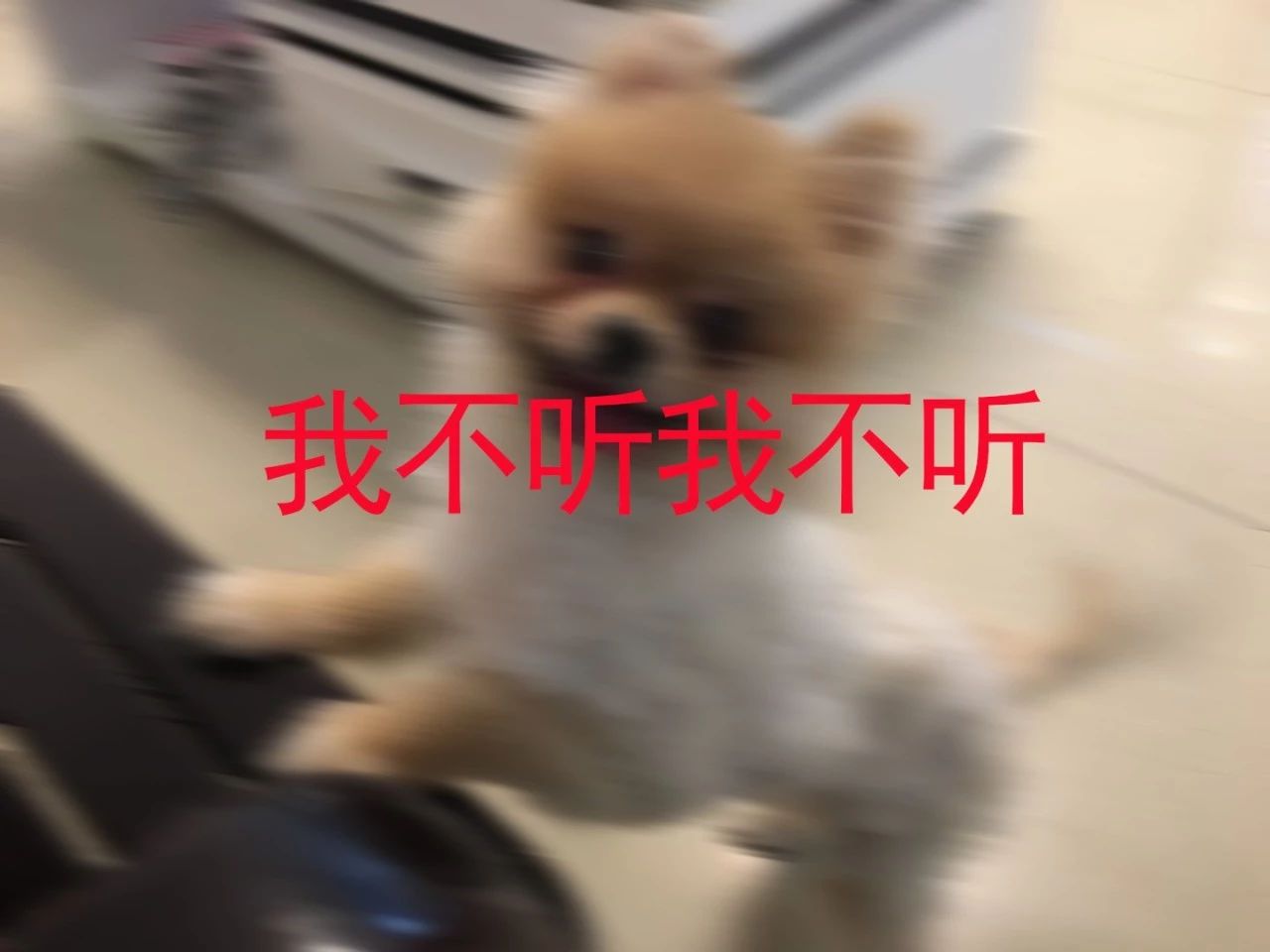 足球竞猜预测